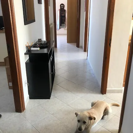 Con Posto Auto Privato *