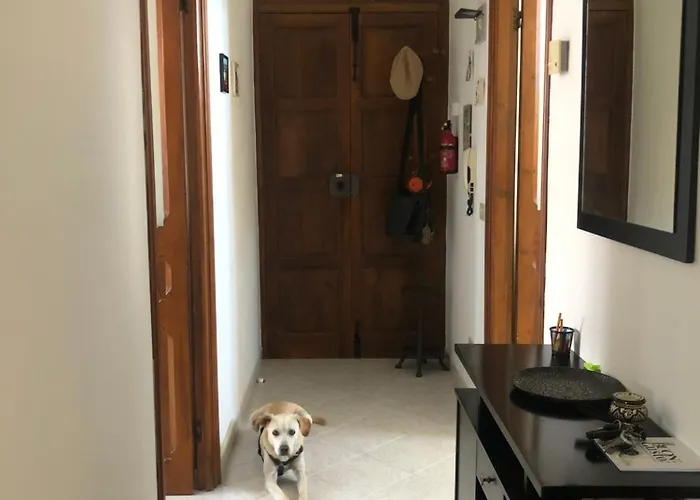 Lägenhet Con Posto Auto Privato